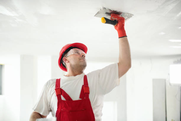 Best Eco-Friendly and Low-VOC Painting  in Thermalito, CA